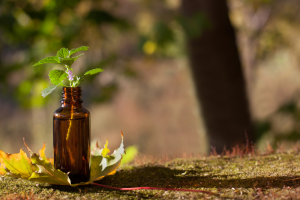 שלווה בגוף עם תמציות - הדרך הטבעית לשלווה פנימית עם תמציות פרחי באך